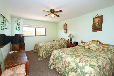 The Bird Room, Bedroom #1