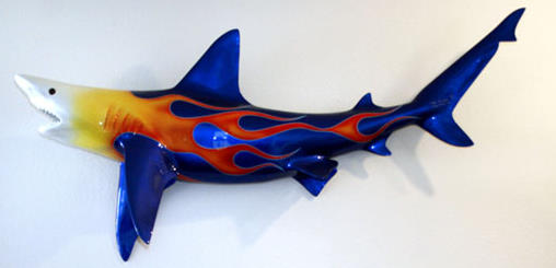 This shark won't bite.
