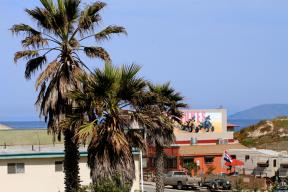 Roof deck has views of the Ocean