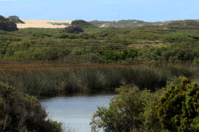 Roof Deck has views of the Lagoon